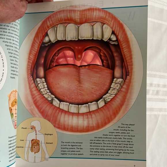 The Incredible Journey Through The Human Body by Nicholas Harris BOOK - Picture 10 of 13